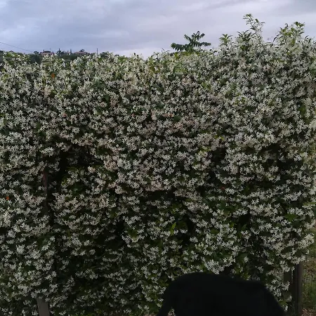 La Casa Di Lele Дом отдыха *