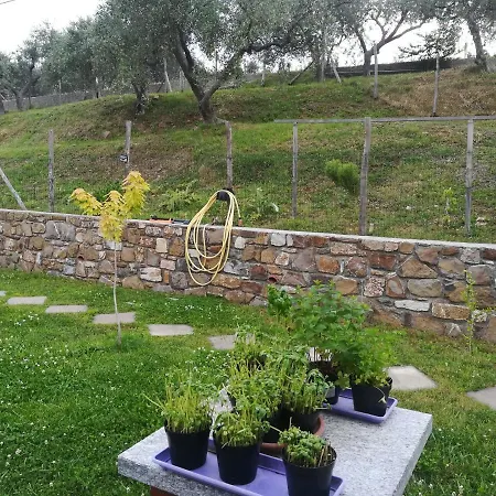 Дом отдыха La Casa Di Lele Costarainera