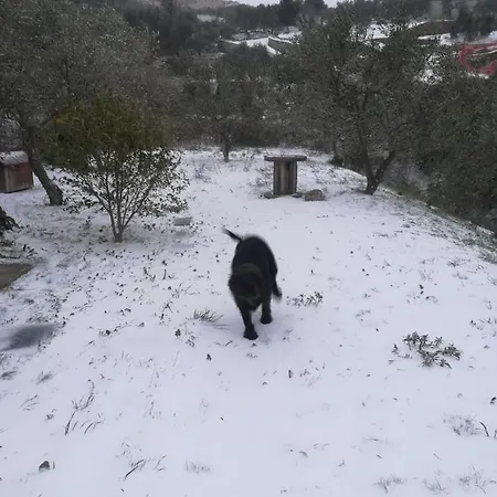 La Casa Di Lele Costarainera