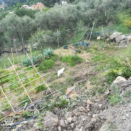 La Casa Di Lele Сasa de vacaciones