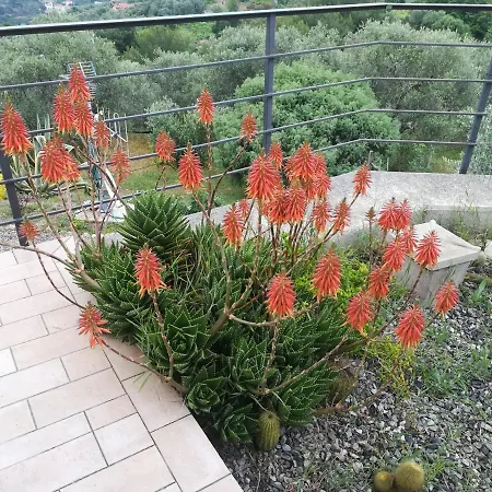 La Casa Di Lele
