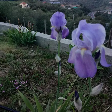 La Casa Di Lele *